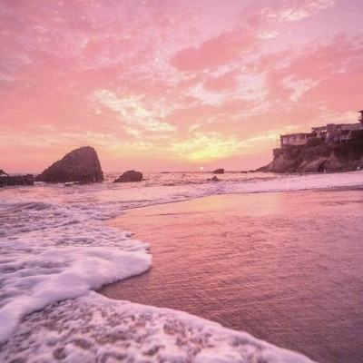 im电竞官方官网手机app下载