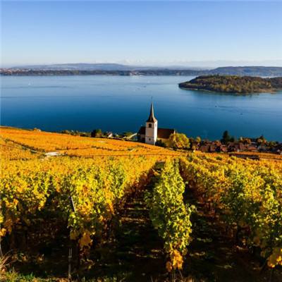 大发黄金版app下载app下载