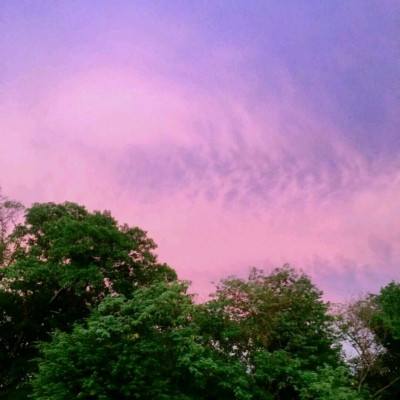 金沙集团9500官网手机app下载