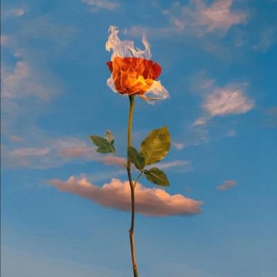 AG旗舰厅app截图