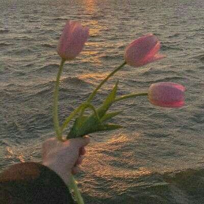 火博体育官方网入口下载