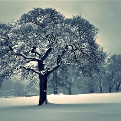 万博最新ManBetX网页版登录