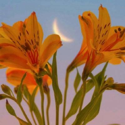 B体育登录APP下载手机app下载