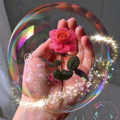 im电竞官网app下载