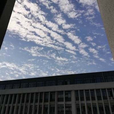 2023澳门管家婆资料正版大全app下载